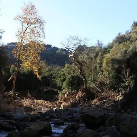 בית נופש Luce